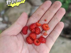 -崂山九水游览区