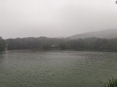 -紫霞湖公园