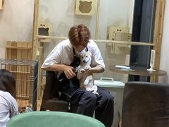 -猫色咖啡·猫咖