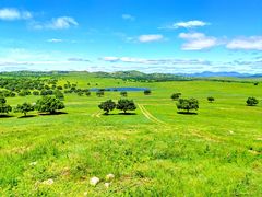 -五角枫生态旅游景区