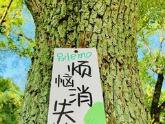 -狼山风景名胜区