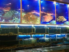 -海皇食府(水都假日酒店店)