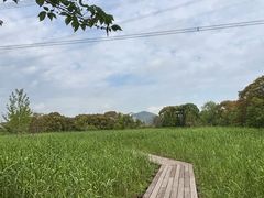 -长田漾湿地公园