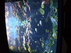 -暹罗海洋世界