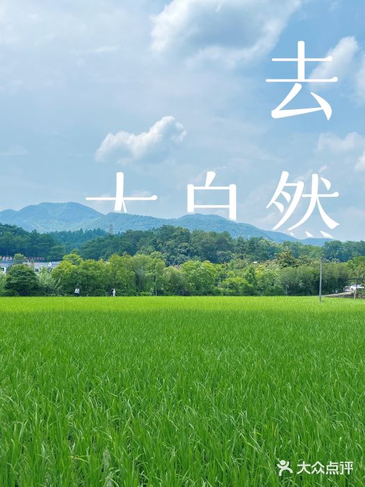 韶山毛泽东同志故居图片