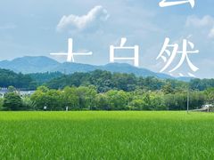 -韶山毛泽东同志故居