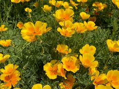 -国家植物园南园