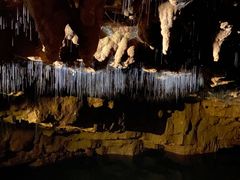 -怀托摩萤火虫洞