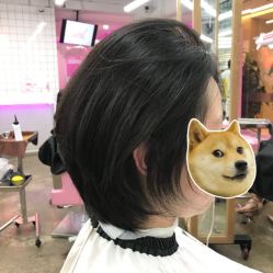 点击看大图 -时尚工厂·科学染发