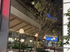 -桂满陇·海市蜃楼·黑金(国金店)