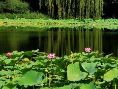 -国家植物园南园