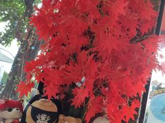 -柴犬高等学院·狗咖·柴犬售卖·宠物训练