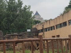 -南昌动物园