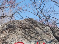 -无锡梅园公园