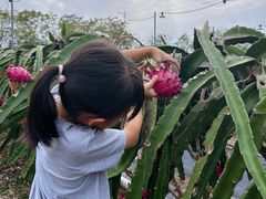 -尚果生态采摘园