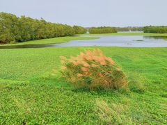 -沙美村