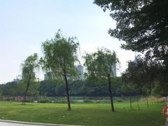 -南宁南湖公园