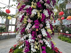 -北京植物园-展览温室