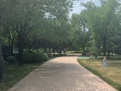 -唐城墙遗址公园