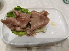 -丁老爷子苏香圆