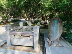 -八大山人梅湖景区