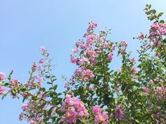 -江南大学(蠡湖校区)