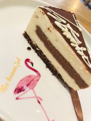 -hy coffee美容美甲护肤