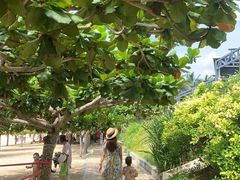 -三亚亚龙湾天域度假酒店