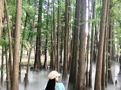 -东湖落雁景区