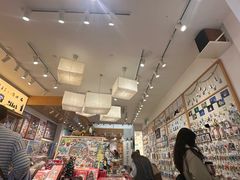 -猫的天空之城概念书店(大学路店)