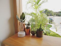 -Hello·生日蛋糕·下午茶·甜品台茶歇(瑞安东山店)