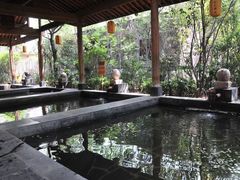 -西安国际创新人才交流中心•药浴温泉