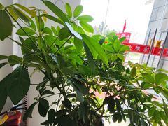 -正华水岸新城小区