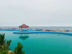 -日照海滨国家森林公园