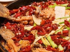 -老板恋上鱼(高新万达店)