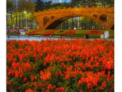 -海心沙亚运公园