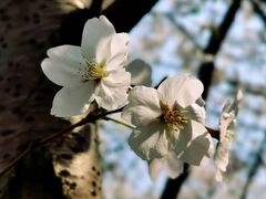 -苏州河梦清园环保主题公园