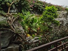 -桃园盛宴·岭南粤菜·手工茶点(南庄店)