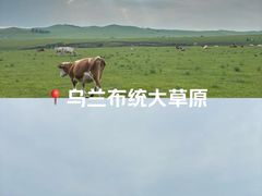 -乌兰布统草原