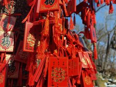 -恭王府博物馆