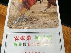 -锅来乐地锅鸡(安亭店)