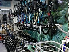 -GIANT捷安特自行车专卖店(金桥台儿庄路店)