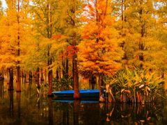 -白鹭湾湿地公园