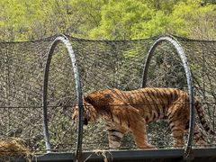 -昆明动物园