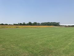 -迪茵湖田家舍生态农场