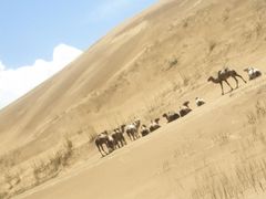 -沙漠世界地质公园