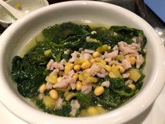 鱼汤鱼滑浸桑叶远-黄但记老店·陈村粉食府