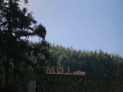 -MOJ coffee(瓯海泽雅水碓坑店)