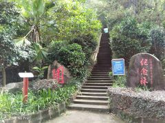 -白云山风景名胜区