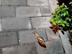 -小堂宴·老厦门码头小炒(厦大店)